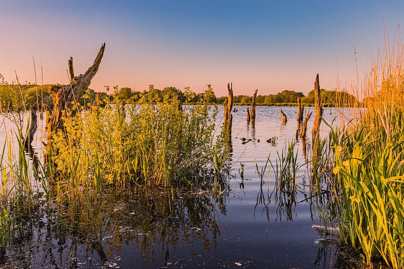 Sunset in national park De Alde Feanen by Henk Meijer Photography