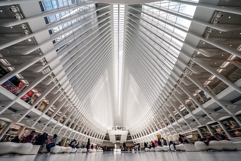 New York   The Okulus von Kurt Krause