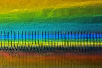 Veer- en spankracht geeft kleur en kracht