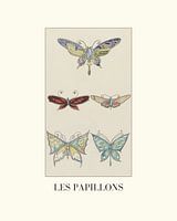 Les papillons