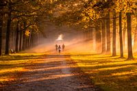 mamagische herfst ochtend kroondomeinen het loo
