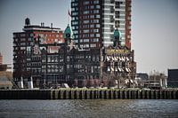 Foto van het gebouw van de Holland America Lijn