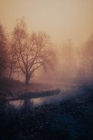 Sonnenaufgang im Nebel