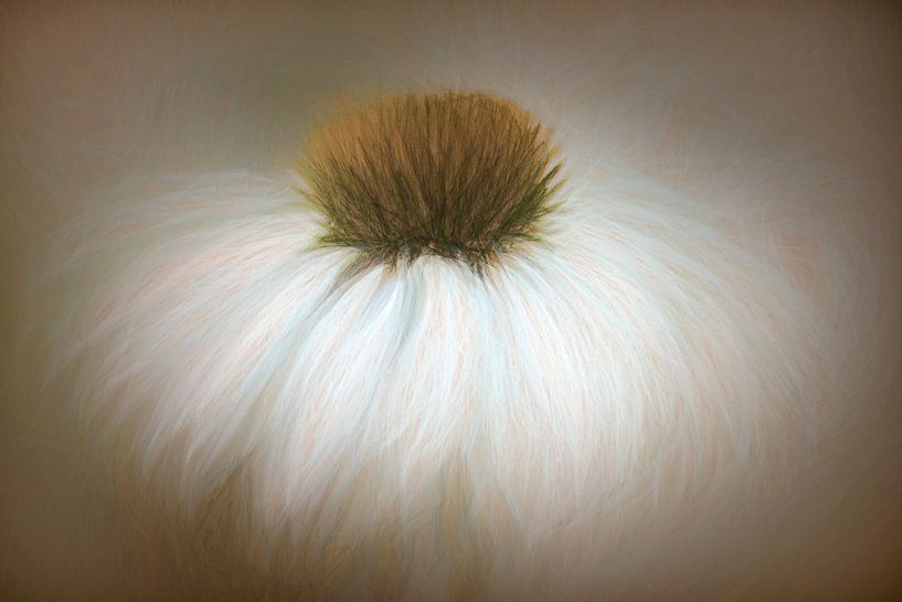 Flower in a dreamy mood by Francis Dost