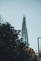 Le Shard