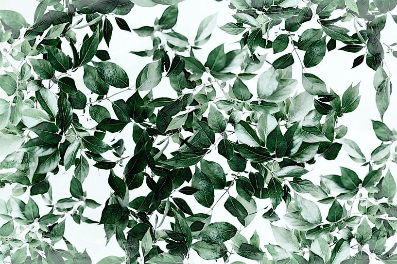 Romantischer Natur Garten von Mad Dog Art