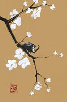 scarabee sur papier brun