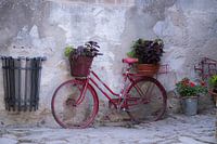 Altes rotes Fahrrad mit Blumen