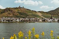 Village allemand le long du Rhin | Photographie de voyage - tirage photo d'art | Allemagne, Europe