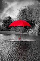 Rode Paraplufontein in Zwart-Witomgeving