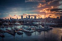 Port de San Francisco