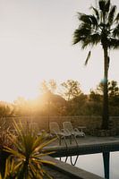 Lever de soleil de rêve à Majorque au bord d'une piscine de palmiers