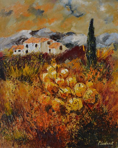 Automne en Provence par pol ledent