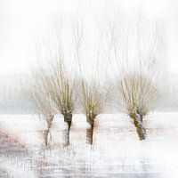 Winter Trees