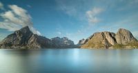 Reine fjord