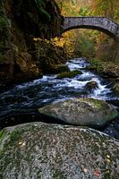 Stream in the Harz Mountains