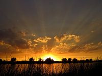 Zonsondergang rottemeren / Crespucular rays at sunset