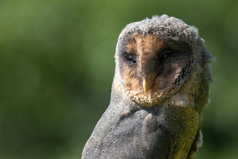 L'étain par Karin aan de muur