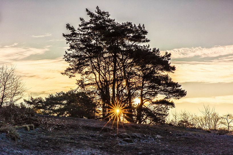 Lever de soleil Brunssummerheide par Rob Boon