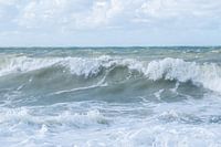 Vagues puissantes sur la côte / Mer du Nord