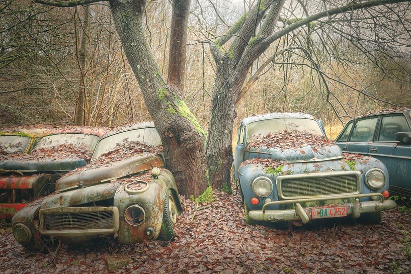 - rainy days - von Anne-Kathrin Knappe