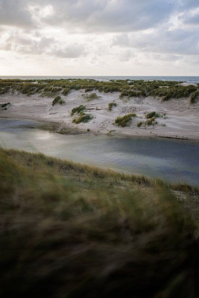 Dunes - Paysage par Frank van Hulst