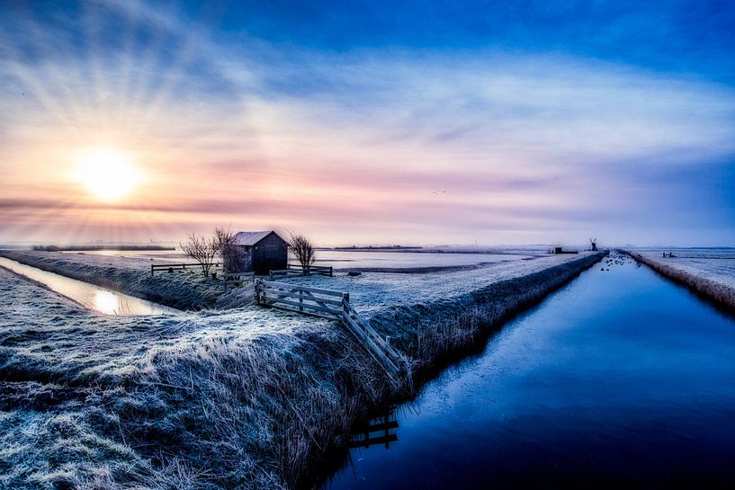 Freezy par Ronnie Westfoto