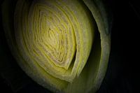 Lauch schmackhaft und gesund