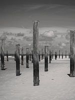 Palendorp Petten - Sand, Holz und Himmel (schwarz-weiß)