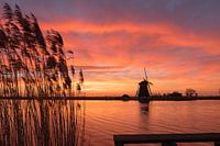 Rottemeren - Sunrise Landscape