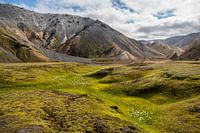 Idylle in de IJslandse hooglanden