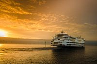 Ferry Texelstroom in dawn