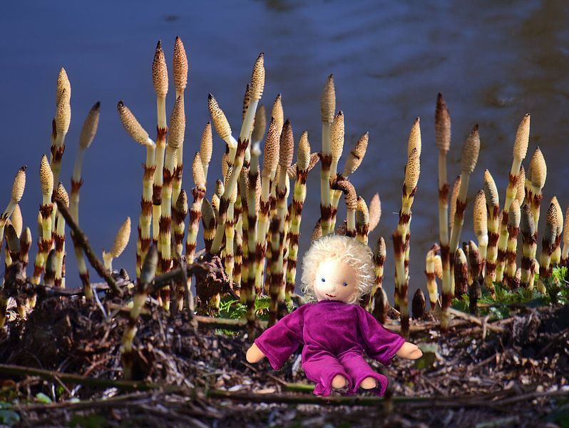 Ufer 3 von Edgar Schermaul