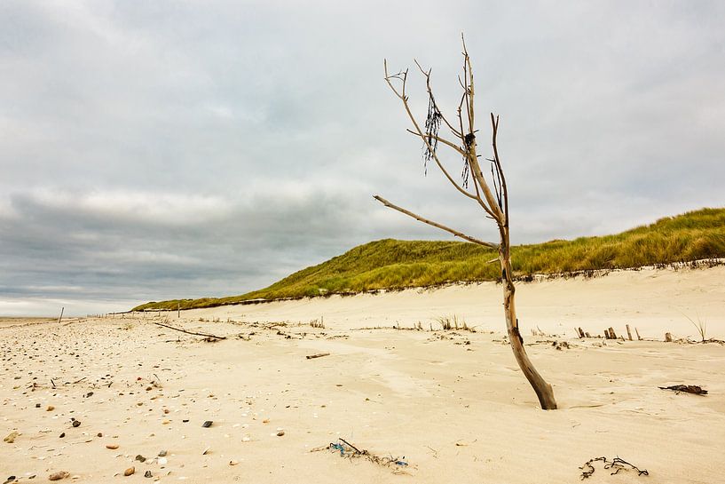 Landschaft am Strand auf der Insel Amrum par Rico Ködder