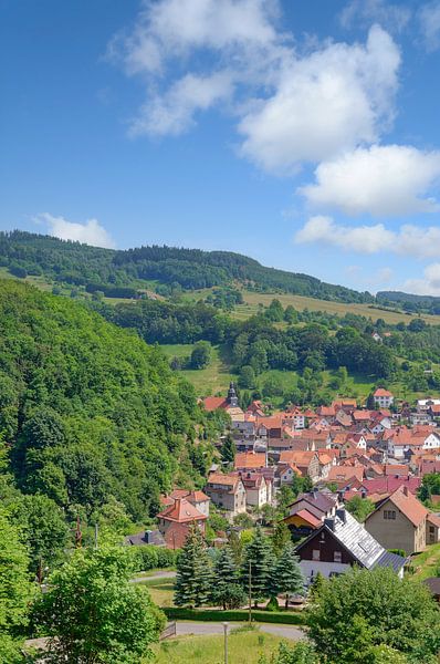 Idylle im Thrüringer Wald von Peter Eckert