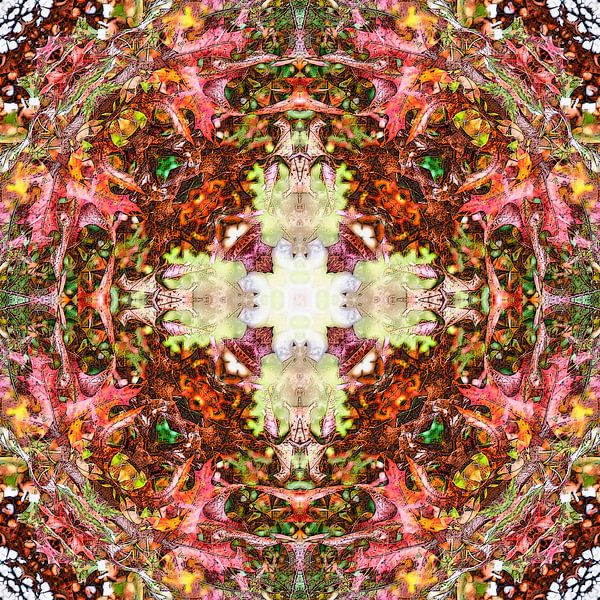 Burgundy Foliage von Frans Blok - Fotos, Kunst und weitere Wanddekoration