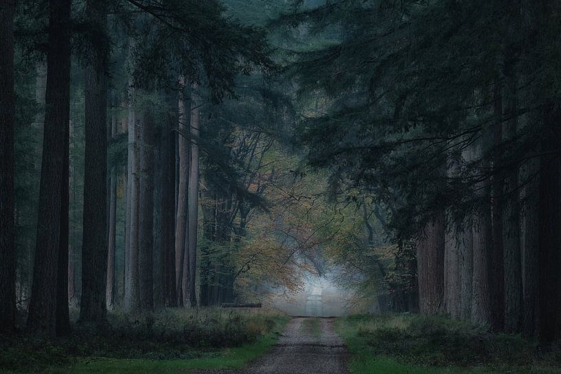 Schloss Boslaan Park Het Loo von Moetwil en van Dijk - Fotografie