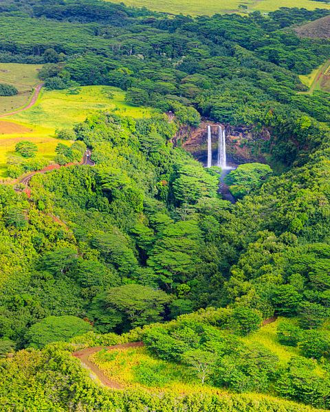 Wailua-Wasserfall, Kauai, Hawaii von Henk Meijer Photography