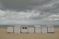 Des maisons en rangée.