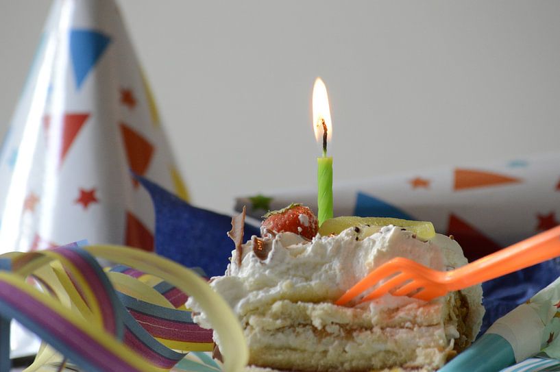 Fest von Onno van Kuik