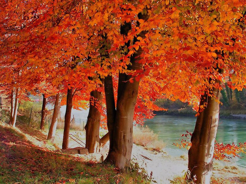 Innufer II von Ilona Picha-Höberth