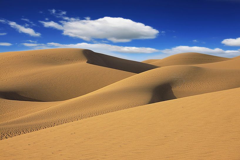 Dünen von Playa del Ingles, Spanien, Gran-Canaria von Renate Knapp