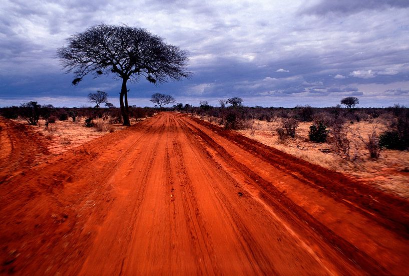 Red Dirt Road von Fabrizio Gallo