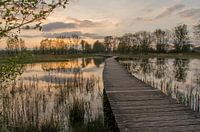 Forêt de Beekberger