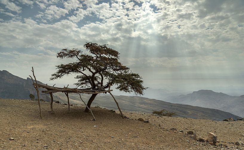 Sunbeams in the desert of Oman by Ruud Overes