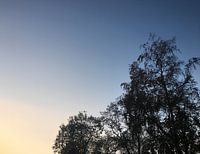 Lever de soleil d'hiver