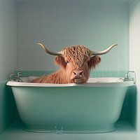 Schottischer Highlander in der Badewanne