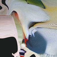 Image 2 of the Egmondse dunes (North Holland)