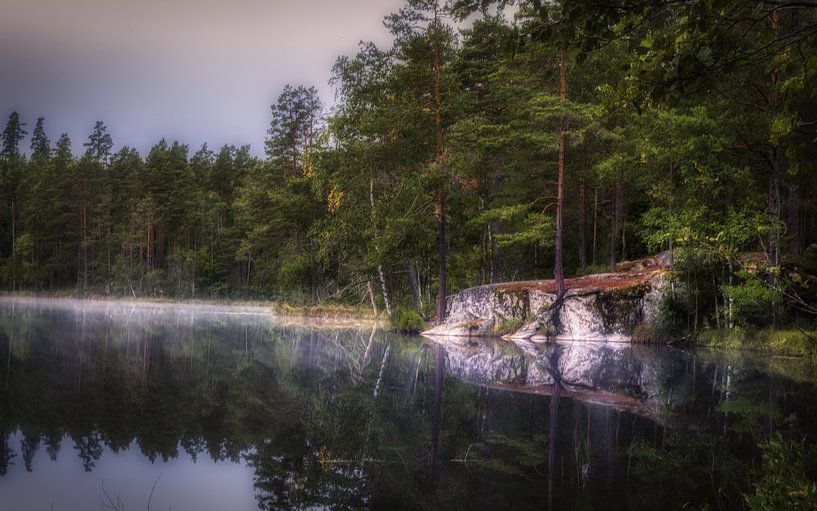 A nice quiet morning in a beautiful forest by Mart Houtman