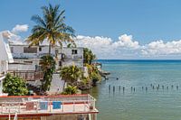 Cojimar palmen en zee in Cua